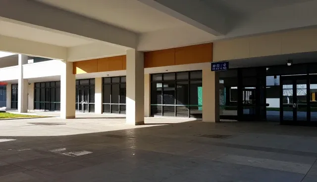 数据处理中管理培训服务的选型关注点与限制